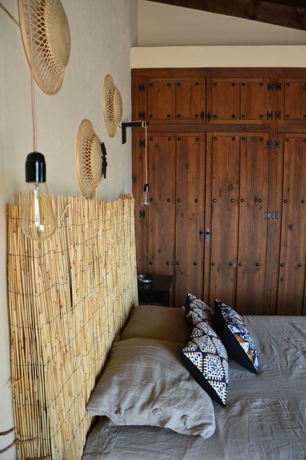 托洛克斯The African House住宿加早餐旅馆 外观 照片
